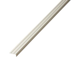 Co-pro Hoekprofiel 10 x 25 zelfkl. RVS – 2,7 m